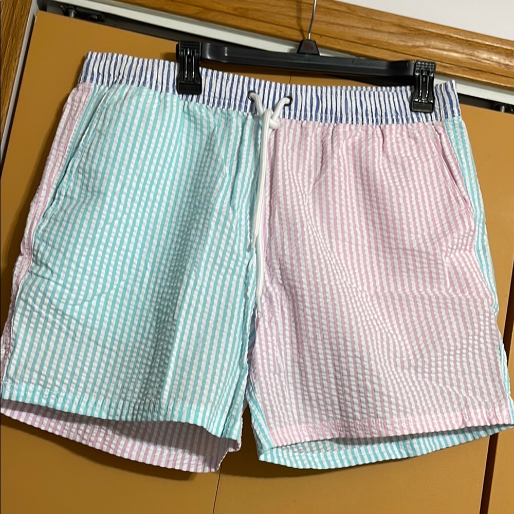 Men's Pastel Striped Swim Shorts